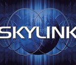 Skylink India